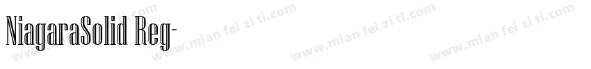 NiagaraSolid Reg字体转换